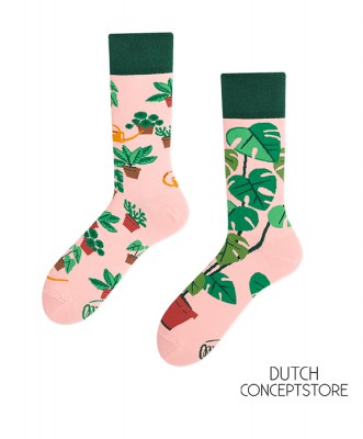 plant lover,sokken,socks,sokkenfreak,plantenliefhebber,monsterea plant,green choice,green soks,sokkencadeau